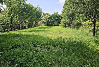 Cristian aproape de Primarie casa saseasca teren 1400 mp - 3