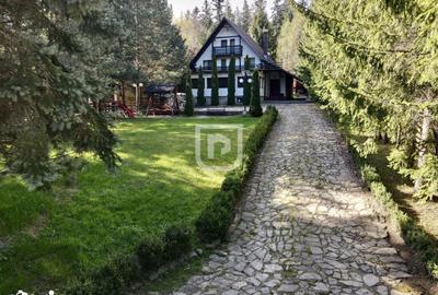 Casă cu 7 camere cu Teren 1731 Mp în Mănăstirea Humorului - 8