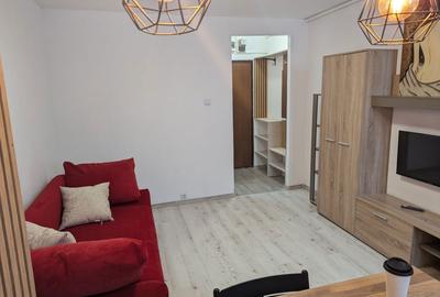 Garsonieră în Timișu de Jos - 2