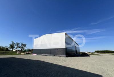 Hala industriala de vanzare 528 mp utili zona Vest a Sibiulu - 6