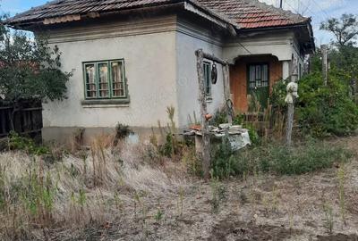 Imobiliare casa de vanzare - 3