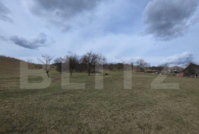 Teren intravilan de vanzare, 28 de ari, zona Herina, Bistrit - 3