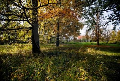 Domeniu Baronial de vanzare in localitatea CIL , Judet Arad - 2
