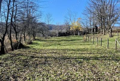 Casă cu 4 camere în Cernișoara - 2