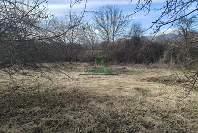 Teren Daesti / 814mp - 1