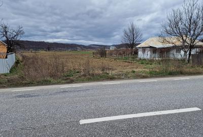 Teren intravilan in Sanduleni/ Bacau de vanzare - 3