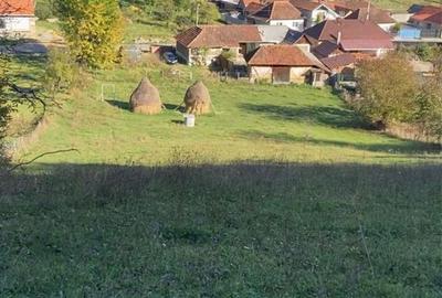 Casă cu 3 camere în Roșia - 4