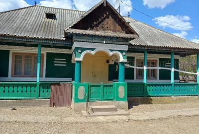 Casă cu Teren 12200 Mp în Cârlig - 7