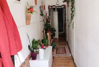 Casă cu 3 camere în Central - 7