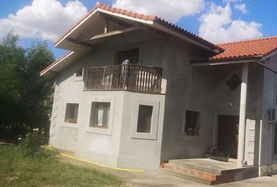 Vand casa la tara Vand casa la tara - 10