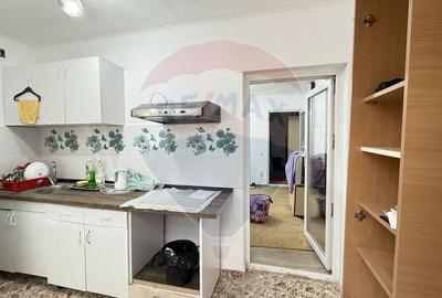 Casa / Vila cu 3 camere de inchiriat in zona Giurgiului - 18