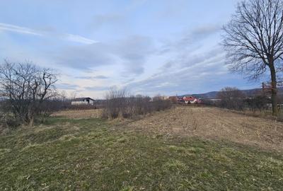 Spațiu comercial, în Central