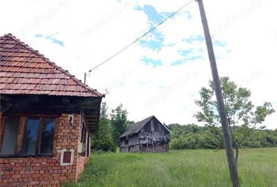 Teren de 16000 mp, în Borlovenii Noi - 4