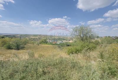 Teren  6.372mp Strs.Piersicilor/Str.Prunilor - 12