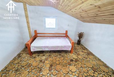 Casă cu Teren 6000 Mp în Sălbăgelu Nou - 10