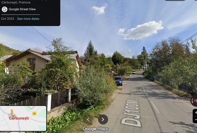 Carbunesti, Prahova - 16