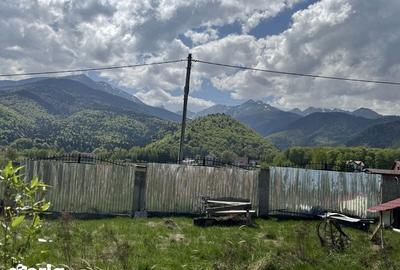 Teren de 4542 mp, în Sâmbăta de Sus