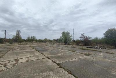 Teren de 45500 mp, în Albert - 1