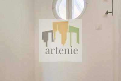 Pache Protopopescu- Plantelor parter in vila Pache Protopopescu- Plantelor parter in vila - 15