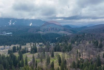 Teren Construcții intravilan de 1000 mp, în Poiana Brașov - 1