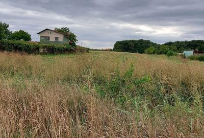 Teren de 4100 mp, în Tâncăbești - 2