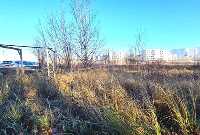 Teren intravilan, 2 fronturi, Drumul Padurea Pustnicu 65 - Greenfield - 2