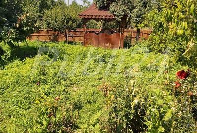 Casă în Mavrodolu - 7