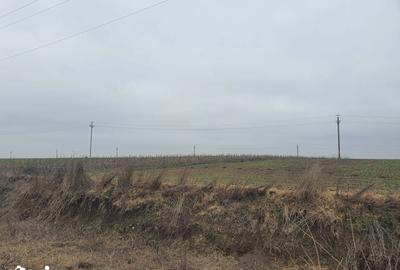 Teren de 140000 mp, în Albești - 1