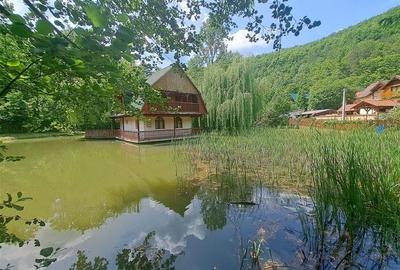RECO, Cabana pe apa in Padurea Neagra, Bihor - 2
