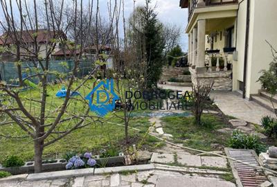 Vila Mineri, D+P+1, teren 1600 mp - 6