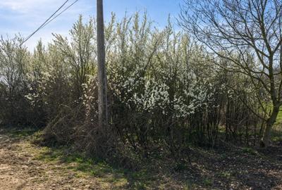 Teren Construcții intravilan de 1080 mp, în Vest - 1