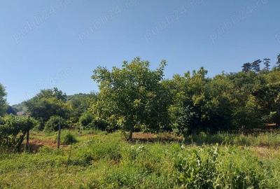 Casă cu 5 camere în Blaj - 6