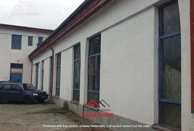 Hale+birouri in Campina--655mp--400.000e - 1