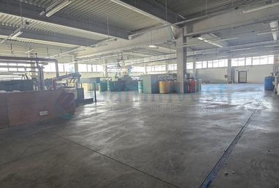 Spațiu industrial, de 6,227 mp, în Homorog - 19