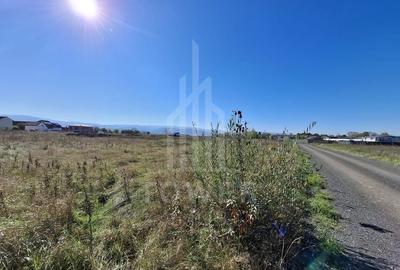 De vânzare – Teren intravilan în cartierul Turnișor, Sibiu - 10