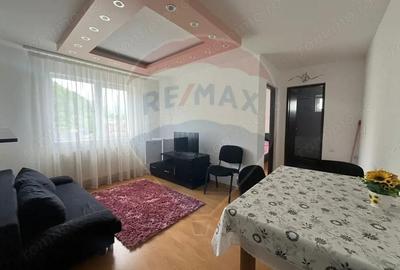 Apartament cu 2 camere de vanzare in Cavnic Apartament cu 2 camere de vanzare in Cavnic - 2