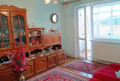 Vand apartament 3 camere Hateg - 2