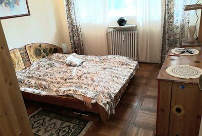 Lacul Tei, Parcul Circului, Lidl, Mega Image, adiacent - 5