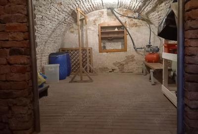 Vind 2 case Carei Satu-Mare,singur in curte - 1