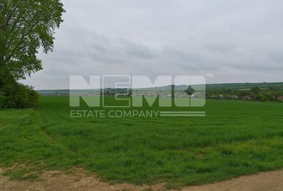 Teren Construcții intravilan de 3931 mp, în Iacobești - 3