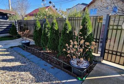 Casă cu Teren 400 Mp în Valea Adâncă - 8