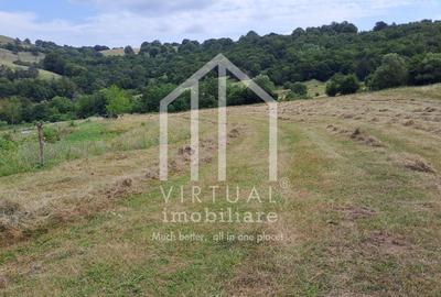 Teren extravilan de vanzare 15,600 mp zona loc... Hamba - 2