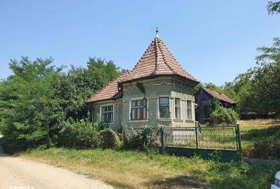 Casă cu 3 camere în Dileu Vechi - 6