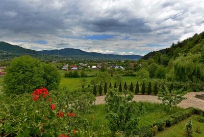 Vanzare domeniu deosebit, vila, anexe si teren cu livada de meri sub padure - 2