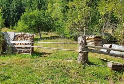 Teren de 3015 mp, în Arieșeni - 7