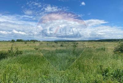 DE VANZARE Teren 5,000mp Sisesti Drumul Piscul Mosului - 3