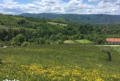 Teren de 1140 mp, în Armeniș