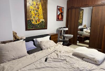 Apartament cu 2 camere decomandat, mobilat în Moșilor - 1
