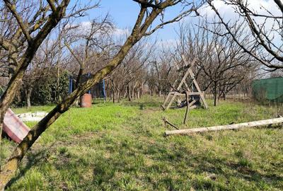 Casă cu 4 camere în Tinca - 1