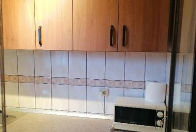 Apartament 1 camera in zona Blascovici - 2